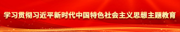 搔逼视频学习贯彻习近平新时代中国特色社会主义思想主题教育